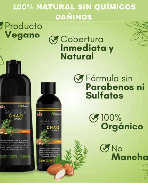 SHAMPOO CHAO  CANAS +TRATMIENTO