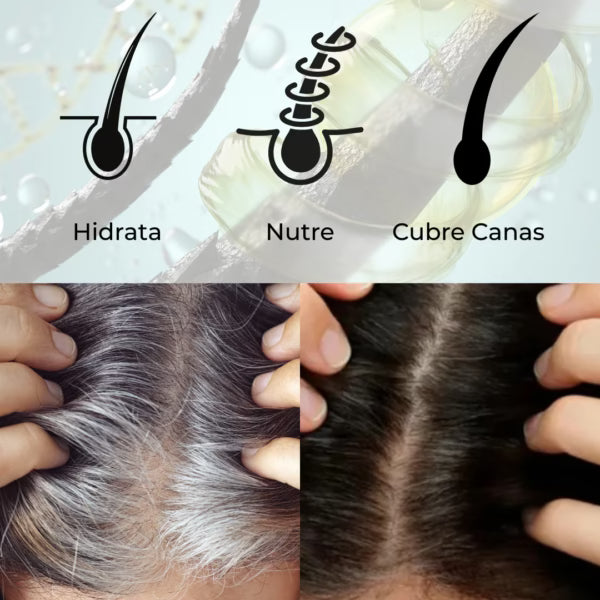 SHAMPOO CHAO  CANAS +TRATMIENTO